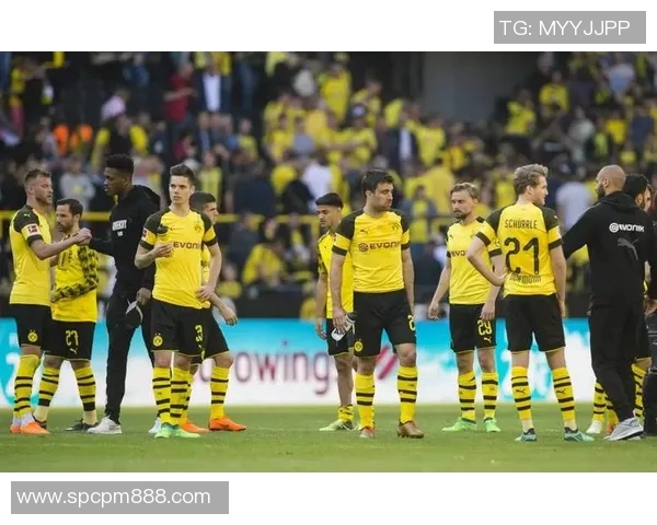 多特蒙德新援边路配合展现默契助力球队冲击联赛冠军